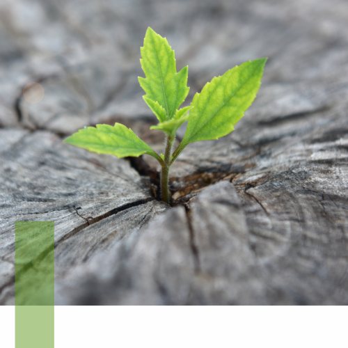 psychometrics personality test